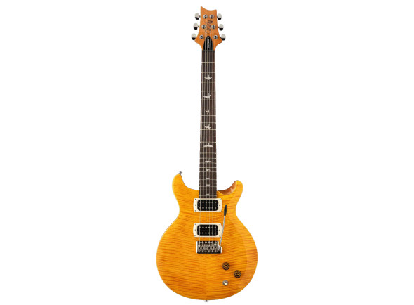 prs-se-santana-sy_6a439a2beb1d7.jpg