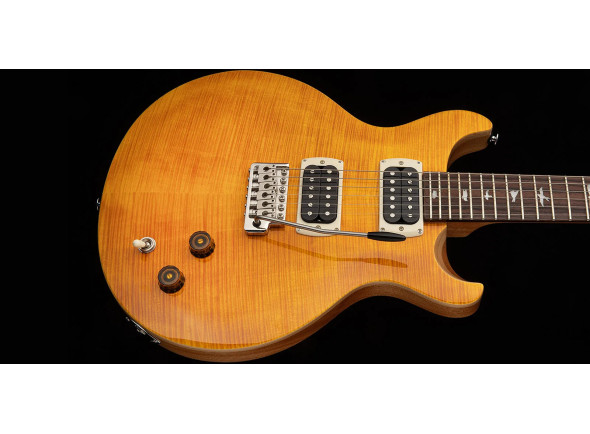 prs-se-santana-sy_6a439a2f843b2.jpg