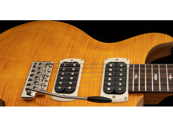 prs-se-santana-sy_6a439a314a0a2.jpg
