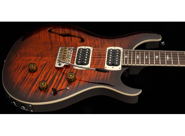prs-se-special-semi-hollow-ots_698c60b496da7.jpg