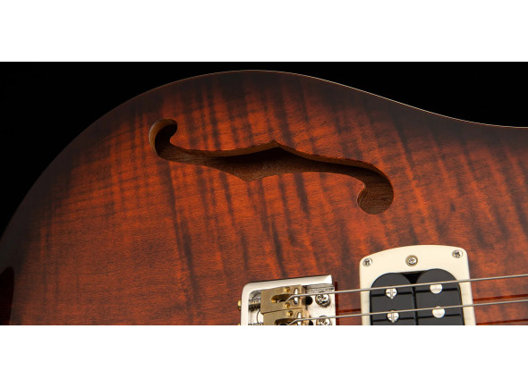prs-se-special-semi-hollow-ots_698c60ba8b1e4.jpg