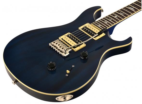 prs-se-standard-24-tb-2018_5bcdb2bc439b1.jpg