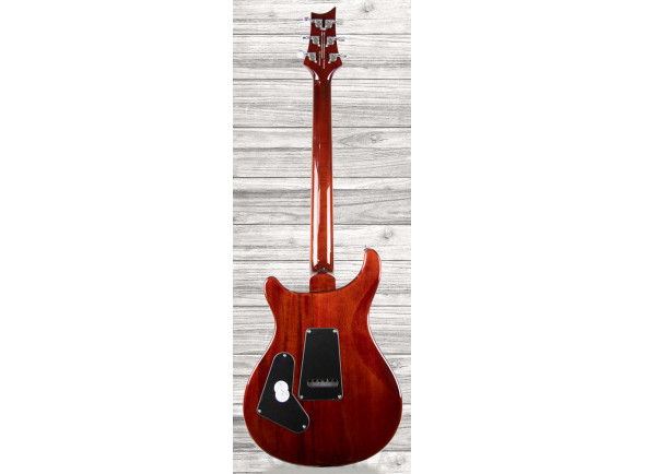 prs-se-standard-24-tobacco-burst-21_60a7cd646e776.jpg