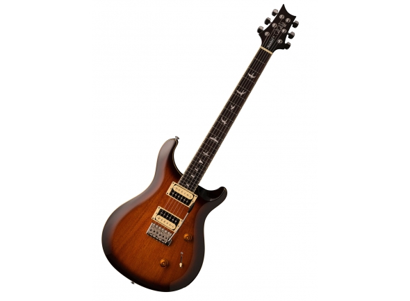 prs-se-standard-24-ts-2018_5bcdb1f76cd52.jpg