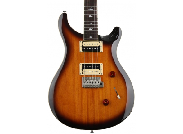 prs-se-standard-24-ts-2018_5bcdb1f89f803.jpg