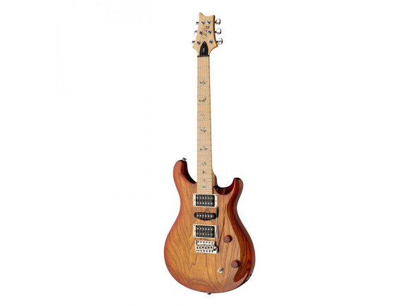 prs-se-swamp-ash-special-vs_656ef301bb245.jpg