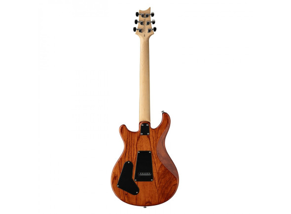 prs-se-swamp-ash-special-vs_656ef30837ec1.jpg