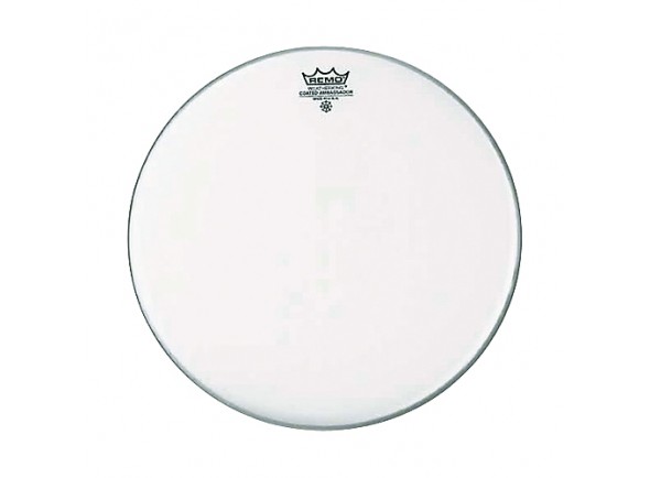 remo-ambassador-coated-weatherking-batter-12_56a79e5702d9c.jpg