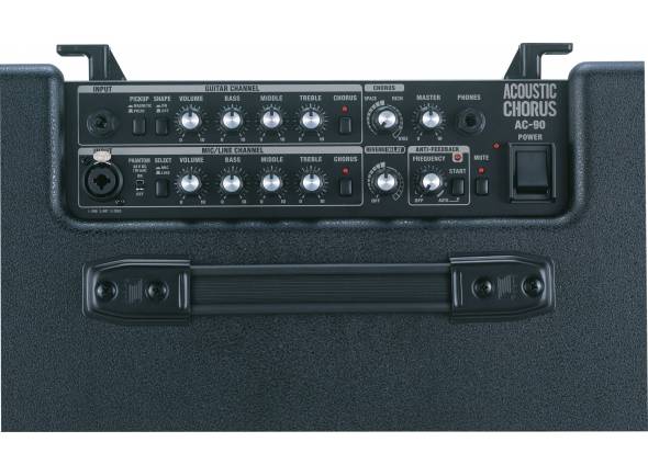 roland-ac-90_599eea7ae5a83.jpg