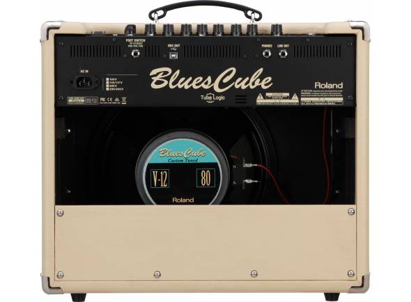 roland-blues-cube-stage_599efa9879dab.jpg