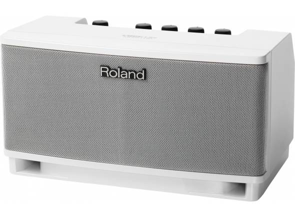 roland-cube-lite-monitor_598de45f5de18.jpg