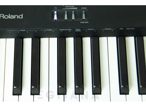 roland-fp-10-bk-painel-de-controlos_63690bac19e58.jpg