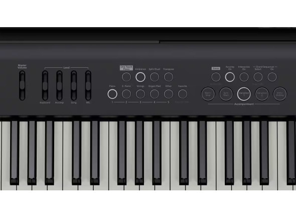 roland-fp-e50-painel-de-controlos_66fbb95bbdfeb.jpg