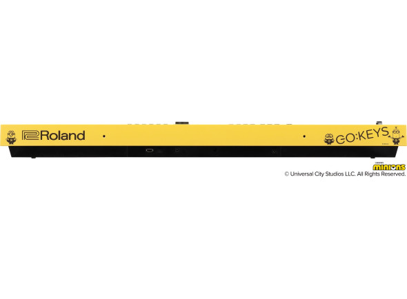 roland-gokeys-3-minion_6aa8fe3eee491.jpg