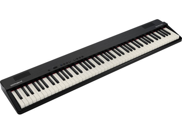 roland-gopiano-88-px_67e146b75bc31.jpg