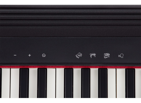 roland-gopiano-piano-digital-eletrico-portatil-colunas-economico-pilhas-computador-bluetooth_6094117650654.jpg