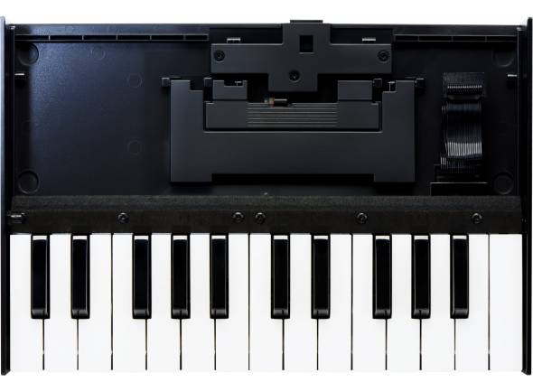 roland-k-25m-boutique_59957e5d54569.jpg