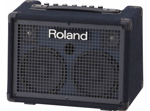 roland-kc-220_59f0b5e2190cd.jpg