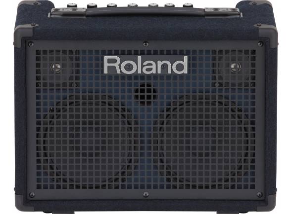 roland-kc-220_59f0b5e2aa5f2.jpg