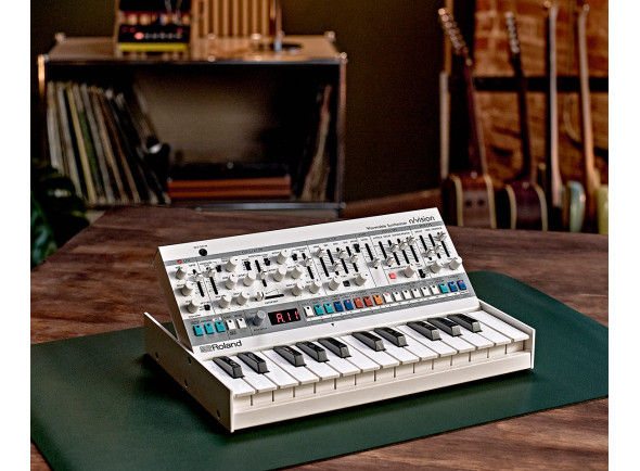 roland-n-vision_6ae3542b17bbc.jpg