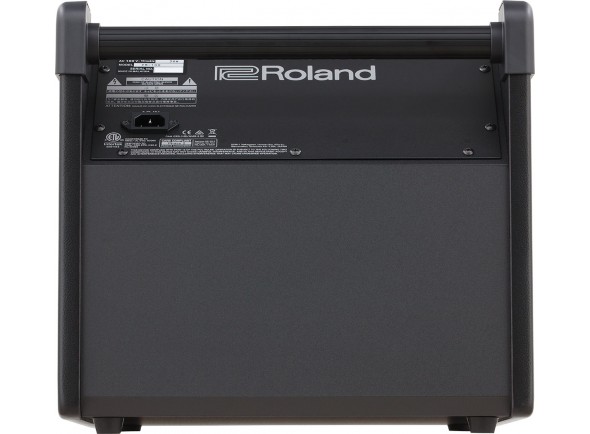 roland-pm-100_5f1c4bdf6144b.jpg