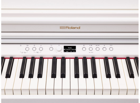 roland-rp701-wh-piano-electronico-vertical-em-branco-acetinado_60410013b76fb.jpg