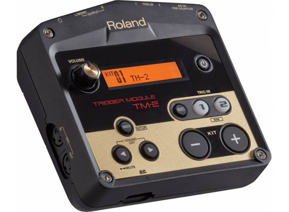 roland-tm-2-trigger-module_59a8218245e63.jpg