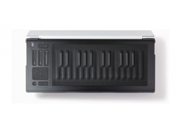 roli-flip-case-silver_5d80e2f35949b.jpg