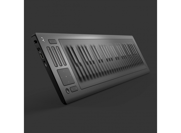 roli-seaboard-rise-49_5d80f428ecd02.jpg