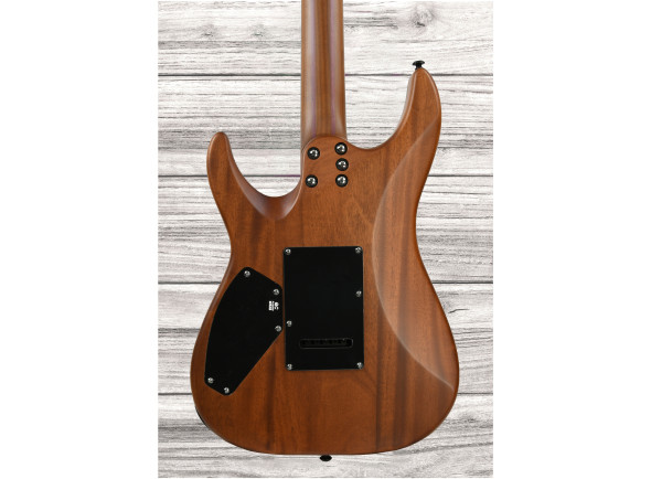 schecter-c-1-exotic-ebony-ns_648c289a76b9c.jpg