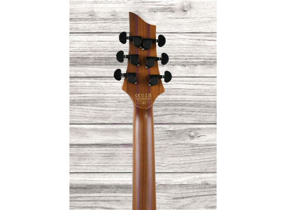 schecter-c-1-exotic-ebony-ns_648c28a0b3998.jpg