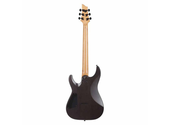 schecter-c-1-standard-plus-ember-burst_695ce80ee97e9.jpg