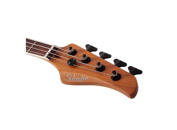 schecter-c-4-standard-charcoal-satin-cs_67b498844960d.jpg