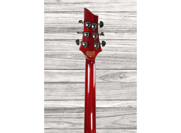 schecter-hellraiser-c1-fr-s-bch_6466574ce0e5d.jpg