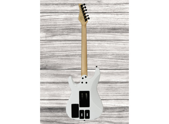 schecter-sun-valley-super-shredder-frs_65e0a2a8841f0.jpg