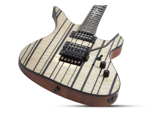schecter-synyster-std-plus-fr-gn_6a858b2cd52a5.jpg
