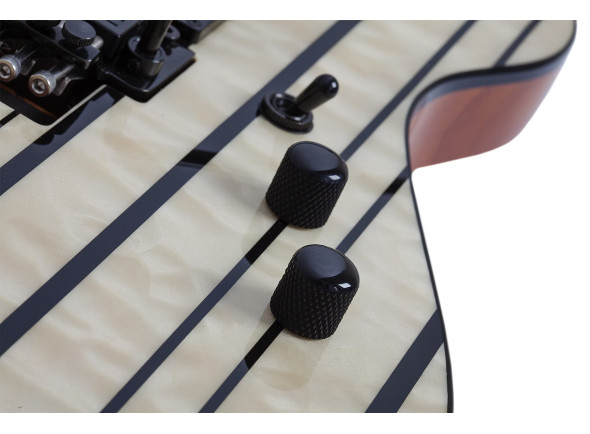 schecter-synyster-std-plus-fr-gn_6a858b2ed0a5f.jpg