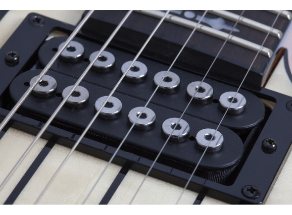 schecter-synyster-std-plus-fr-gn_6a858b30cbc32.jpg