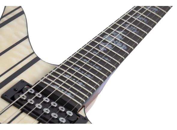 schecter-synyster-std-plus-fr-gn_6a858b32dac87.jpg