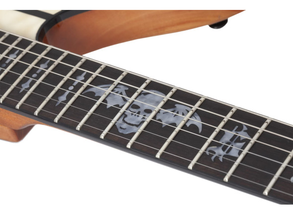 schecter-synyster-std-plus-fr-gn_6a858b34d66d7.jpg