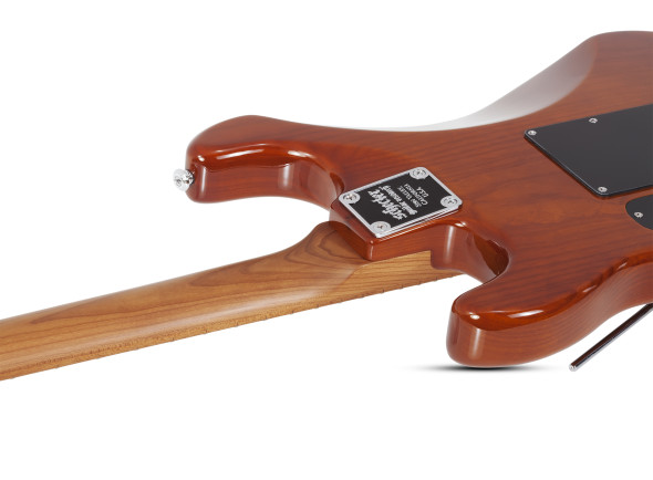 schecter-traditional-van-nuys_62260f9103120.jpg