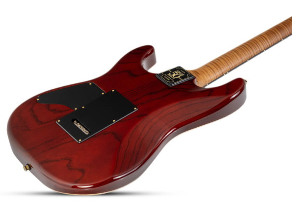 schecter-usa-custom-shop-cet-50th-anniversary-golden-anniversary-41-of-50_6995e5777ccaf.jpg
