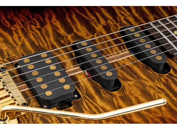 schecter-usa-custom-shop-cet-50th-anniversary-golden-anniversary-41-of-50_6995e57d0a28b.jpg