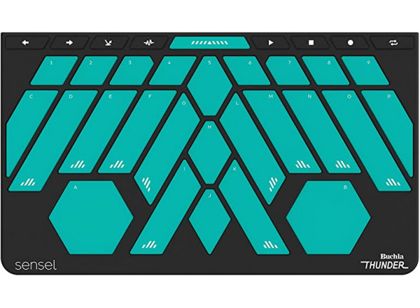 sensel-buchla-thunder-overlay_602aa6d4056bb.jpg