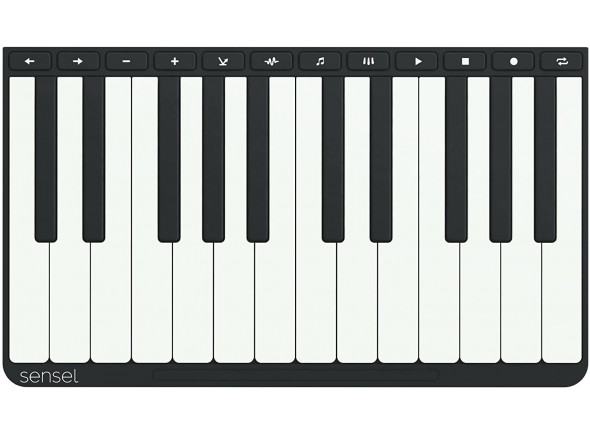 sensel-piano-overlay_602aa5f228556.jpg