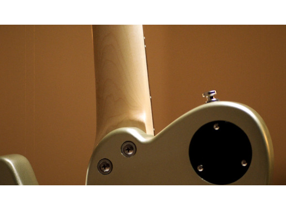 shergold-telstar-standard-st14-champagne-gold_6adf61dee0d3b.jpg