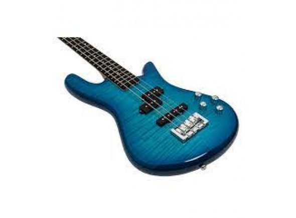 spector-legend-standard-4-blue-stain_63e266f9e59f0.jpg