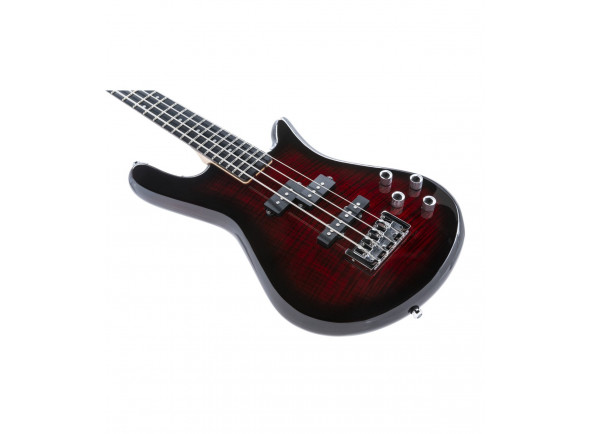 spector-standard-4-black-cherry_63e36ee0097a0.jpg