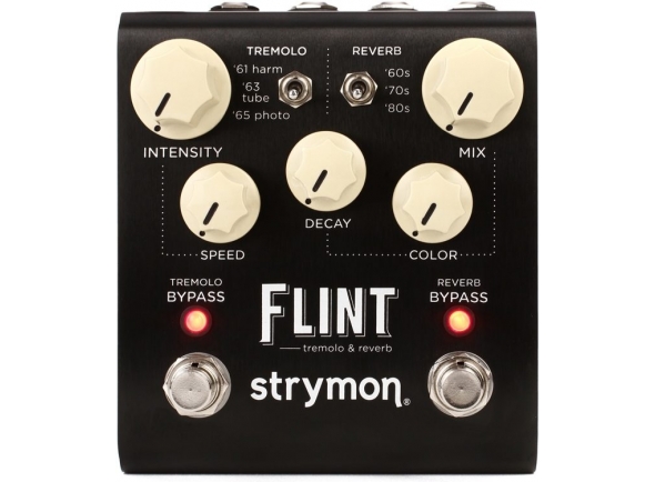 strymon-flint_5c7510298b6d2.jpg