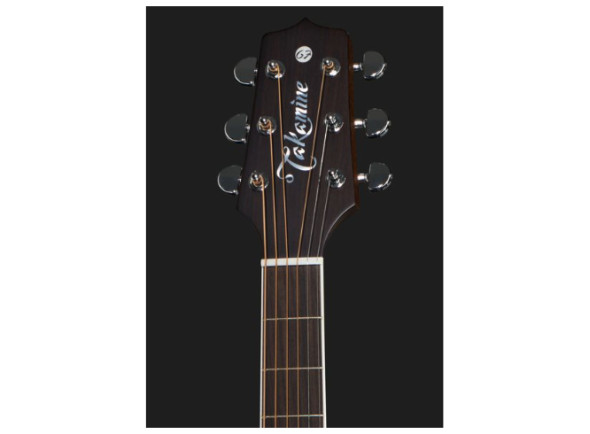 takamine-ef360gf-glenn-frey-w-softcase_68ade03385905.jpg
